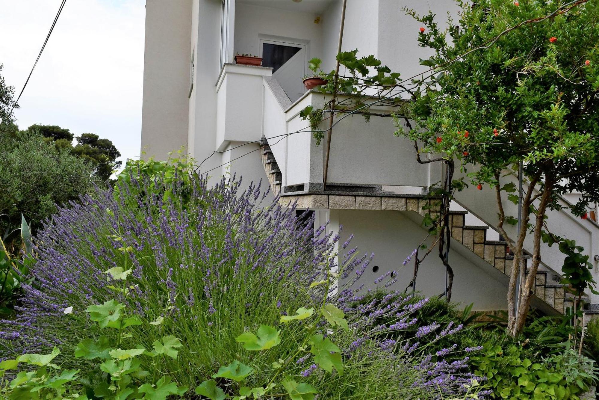 Sunnyy Beacch Apartments Banjol 部屋 写真